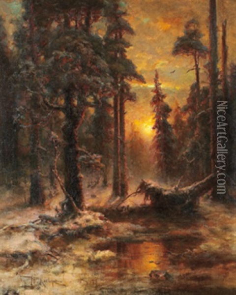Skogslandskap I Solnedgang Oil Painting - Yuliy Yulevich (Julius) Klever