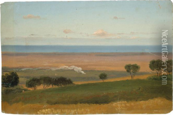Blick Von Albano Auf Das Tyrrhenische Meer Oil Painting - Albert Franz Venus