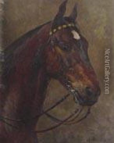 Testa Di Cavallo Oil Painting - Aimable Bouillier