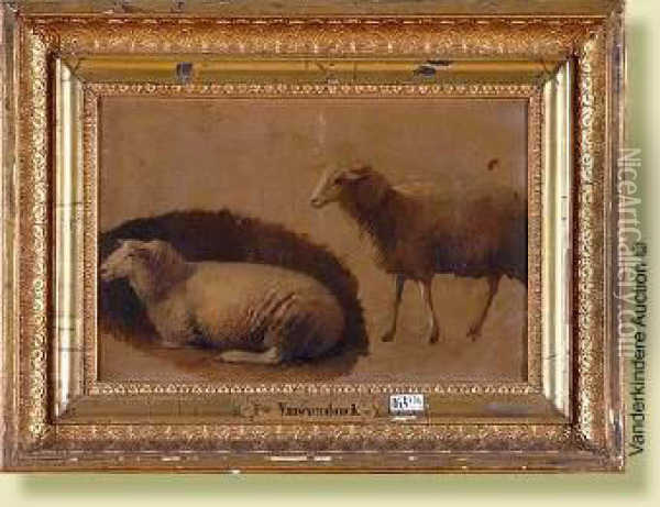 Deux Moutons Oil Painting - Franz van Severdonck