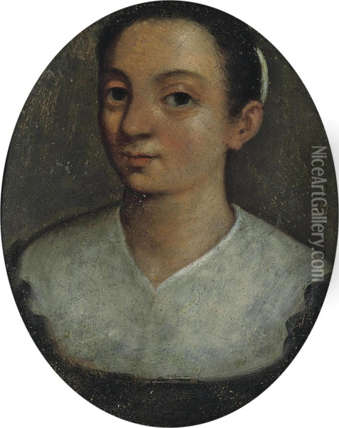 Portrait Of A Lady, Traditionally Identified As The Artist, Bust-length Oil Painting - Lucia Anguissola