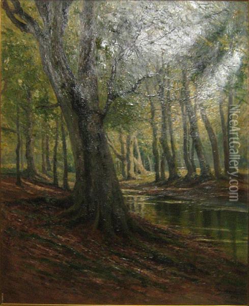 Vue Forestiere Oil Painting - Leon Delderenne