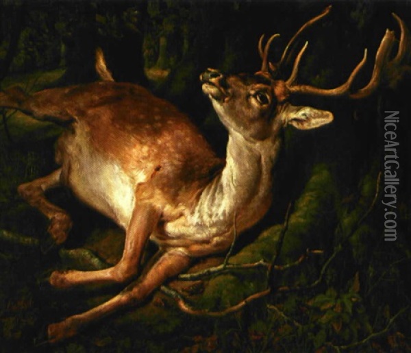 Saret Dahjort I Skovbunden Oil Painting - Siegwald Johannes Dahl