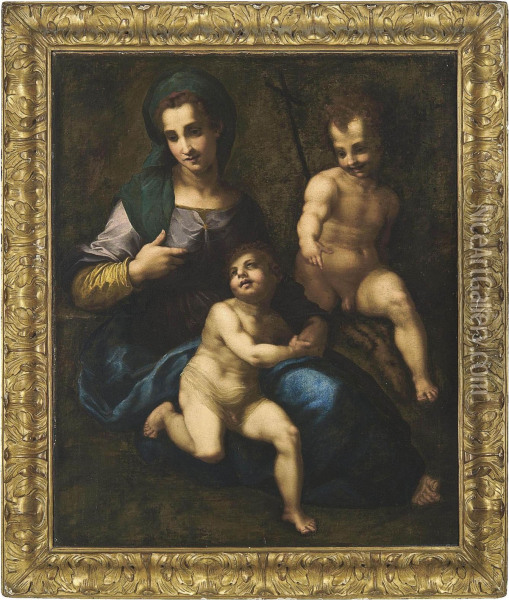 The Madonna And Child With The Infant Saint John The Baptist Oil Painting - Andrea Del Sarto