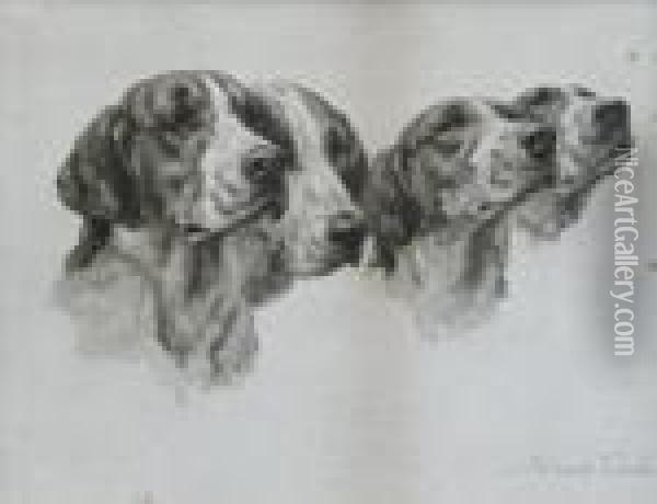 A Collection Of 24 Dog Prints. Oil Painting - Maud Earl