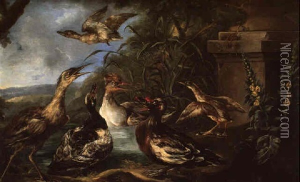 Oiseaux D'eau Dans Un Parc Oil Painting - Angelo Maria (Crivellone) Crivelli