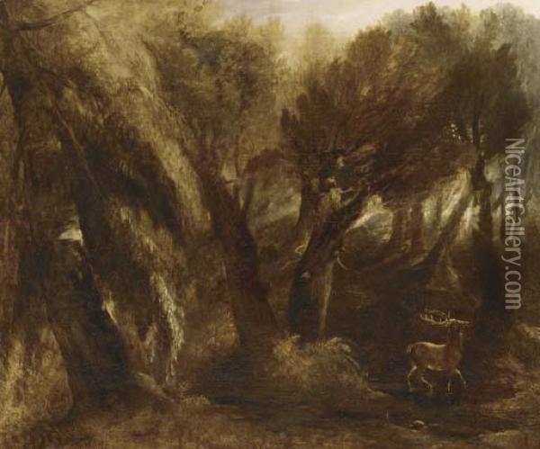 A Stag Watering In A Forest Glade Oil Painting - Thomas Gainsborough