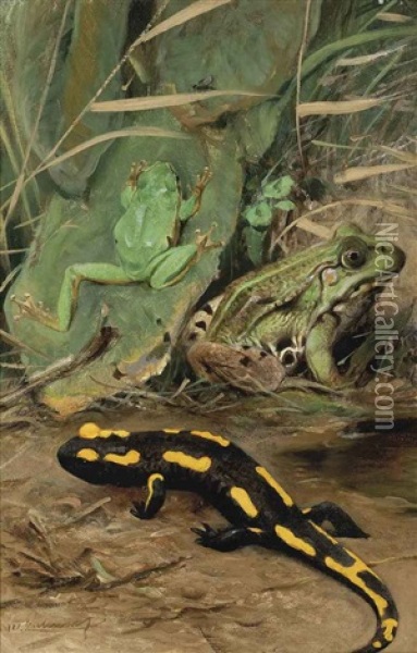 A Tree Frog, Water Frog And Fire Salamander Oil Painting - Wilhelm Friedrich Kuhnert