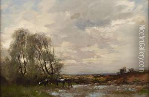 Cattle Watering At Dusk Oil Painting - William Bradley Lamond