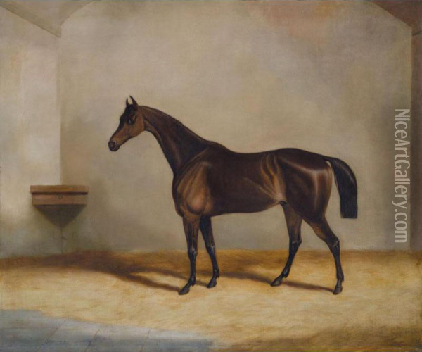 A Bay Racehorse In A Stable Oil Painting - Richard Denew