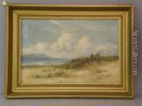 Viewacross A Bay With Dunes In The Foreground And Sea-gulls Oil Painting - William Langley