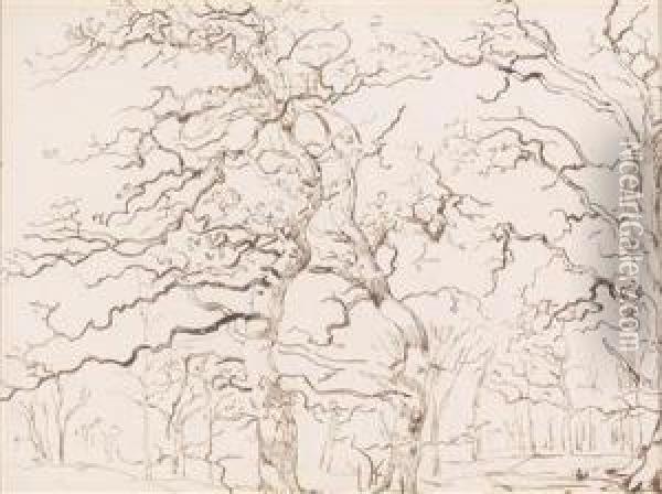 Pair Of Landscape Sketches With Trees In The Foreground Oil Painting - Johann Christian Reinhart