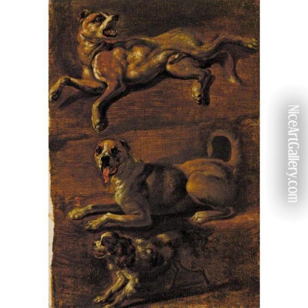 Three Studies Of Dogs Oil Painting - Edward Du Bois Dubois