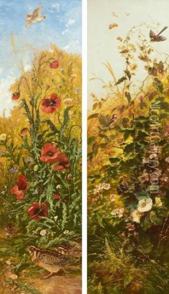 Blomster, Fugler Og Sommerfugler Oil Painting - Karl Bodmer