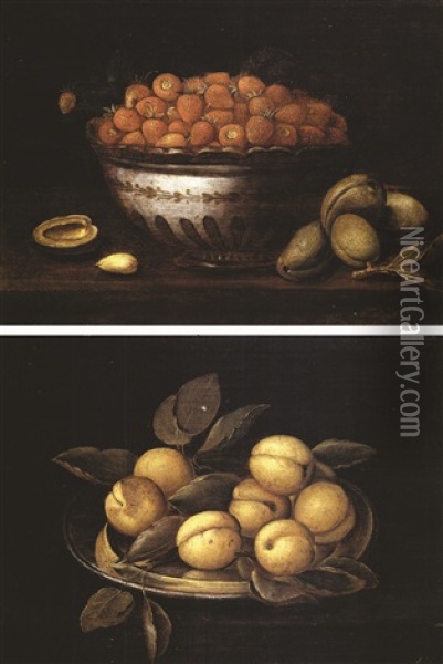 Piatto Di Albicocche (+ Coppa Di Fragole Con Prugne Sul Piano; 2 Works) Oil Painting - Panfilo Nuvolone