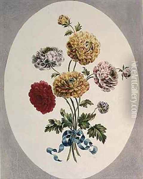 Persian Ranunculus Oil Painting - John Edwards