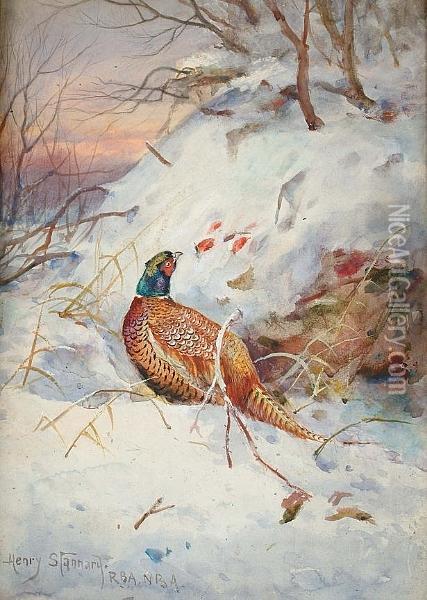A Pheasant Foraging For Berries In A Snowscape Oil Painting - Henry Stannard
