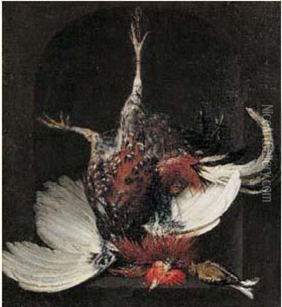 Nature Morte Au Coq Dans Une Niche Oil Painting - Jan Weenix