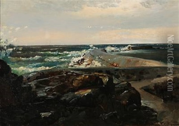 Storm Ved Den Svenske Kyst Oil Painting - Carl Frederik Peder Aagaard