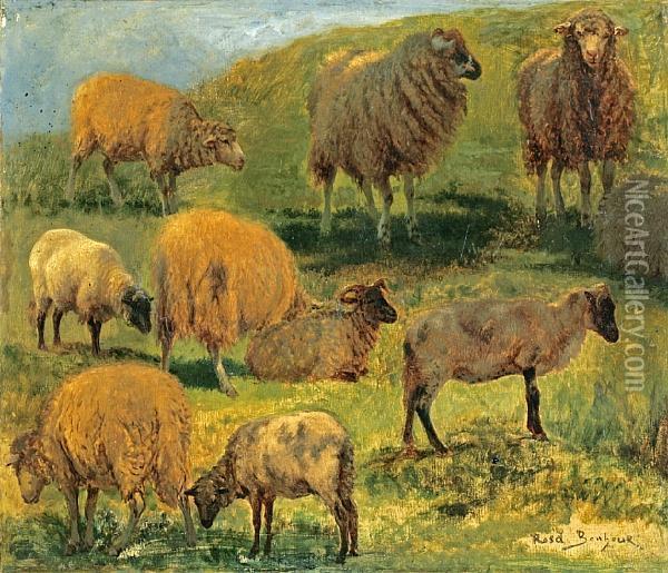 Studies Of Sheep In A Landscape Oil Painting - Rosa Bonheur