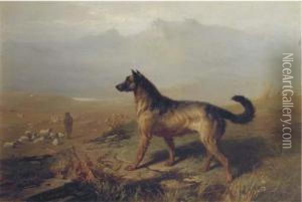 Guarding The Flock In The Highlands, Scotland Oil Painting - Conradyn Cunaeus