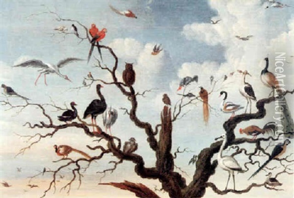 A Concert Of Birds In A Tree, Including Owls, A Pheasant, A Peacock And Other Birds Oil Painting - Frederik Bouttats the Elder