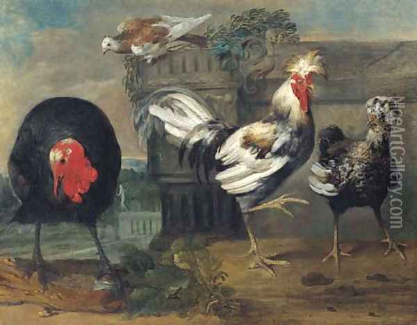 Two crested chickens, a turkey and a dove in an architectural landscape Oil Painting - Pieter III Casteels