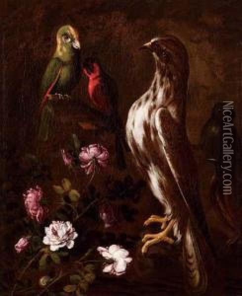 Falco, Pappagalli, Rose Elumaca Oil Painting - Paolo Porpora