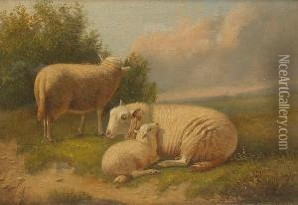 Sheep And A Lamb In A Pasture Oil Painting - Joseph Van Dieghem