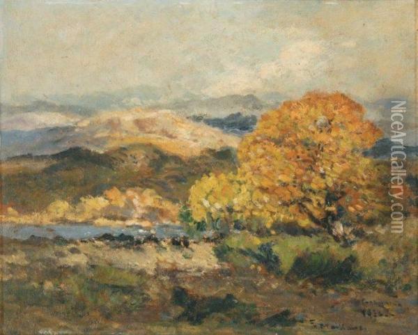 Rivage Aux Collines Oil Painting - Fernand Maillaud