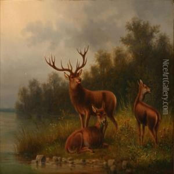 Deer At A Wateredge Oil Painting - Carl Henrik Bogh
