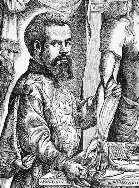 Portrait of Andreas Vesalius (1514-64) from his book 'De Humani Corporis Fabrica', 1543, illustration from 'Science and Literature in the Middle Ages and the Renaissance', 1878 Oil Painting - Jan Steven van Calcar