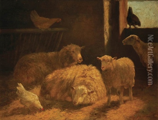 Sheep And Chickens In Stable Oil Painting - Dirk Van Lokhorst