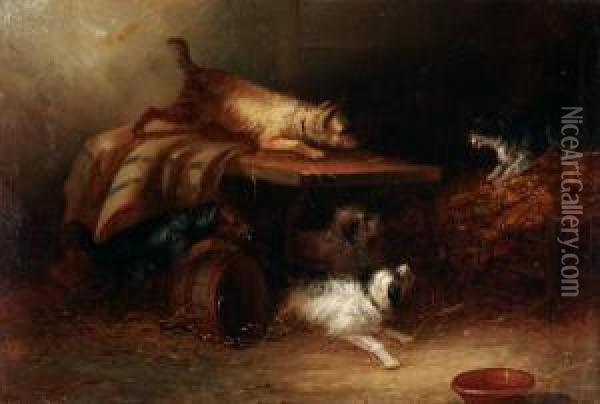Dogs With Cat Oil Painting - George Armfield