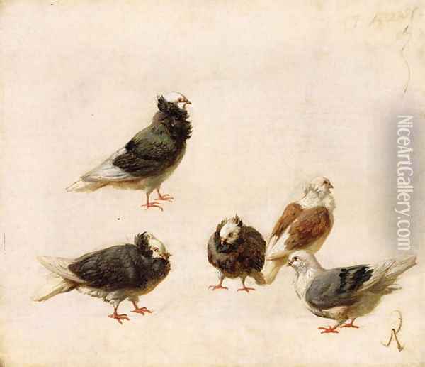 Pigeons, 1888 Oil Painting - Jose Ruiz Blasco