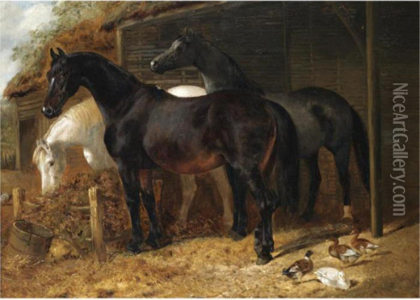 Horses In A Stable Yard With Ducks Oil Painting - John Frederick Herring Snr