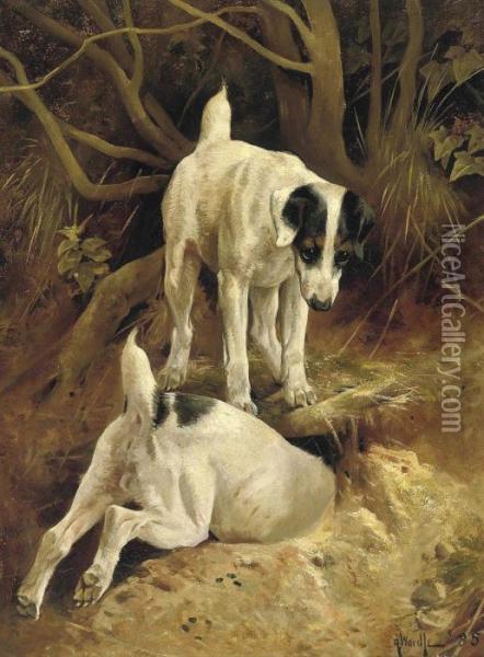 Rabbiting Oil Painting - Arthur Wardle
