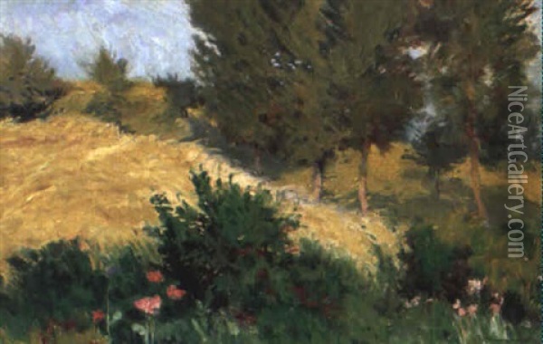Sommerliche Landschaft Oil Painting - Antonin Hudecek