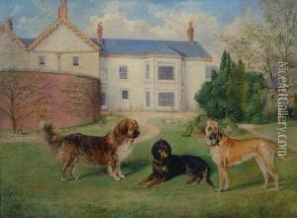 A Gordon Setter, A Mastiff And A St. Bernard. Oil Painting - Edwin Frederick Holt