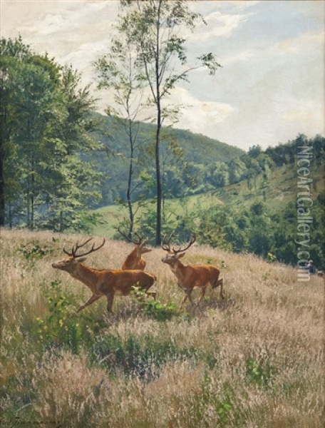 Hirschgruppe Auf Waldwiese Oil Painting - Carl Zimmermann