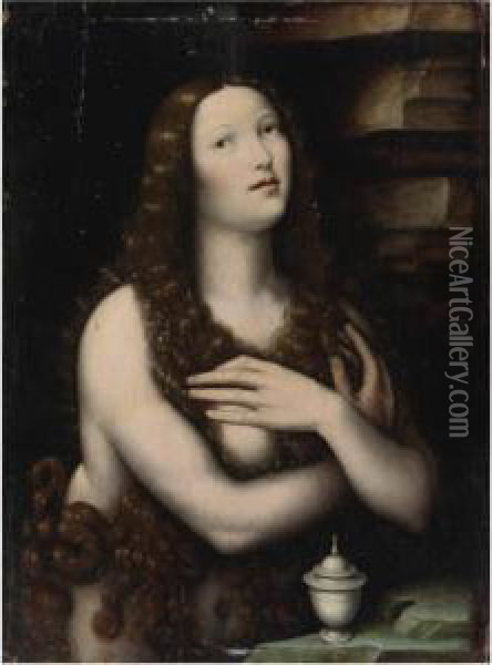 Mary Magdalene Oil Painting - Giampietrino