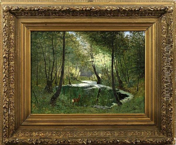 Reh Am Waldteich Oil Painting - Max Hoenow
