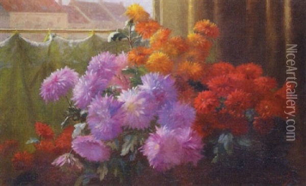 A Still Life Of Chrysanthemums Before A Window Oil Painting - Edward van Ryswyck
