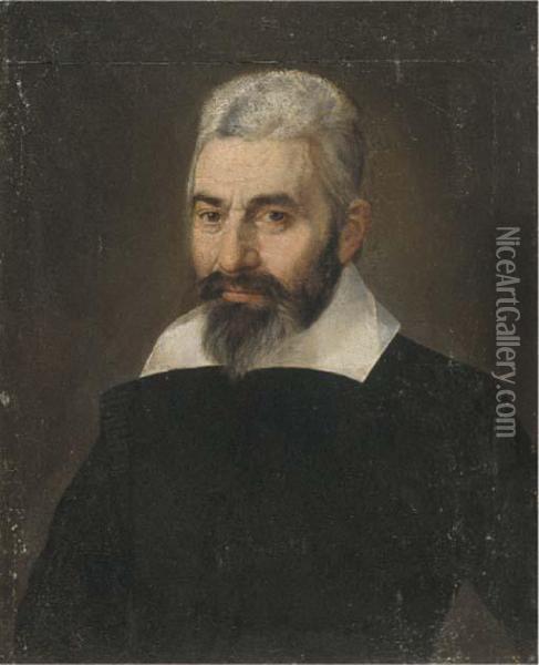 Portrait Of A Gentleman Oil Painting - Bartolomeo Passarotti