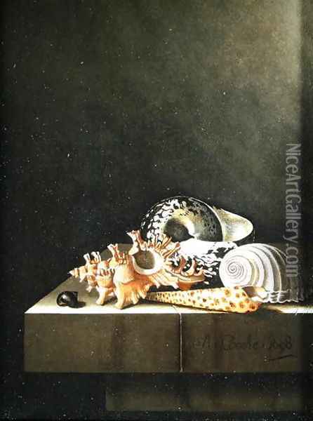 A still life of shells 1698 Oil Painting - Adriaen Coorte