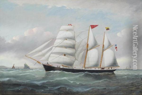The Colombian Barquentine 
Zelia 
 From Riohacha Oil Painting - William Howard Yorke