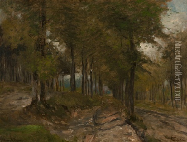 Tree-lined Pathway Oil Painting - William Henry Howe