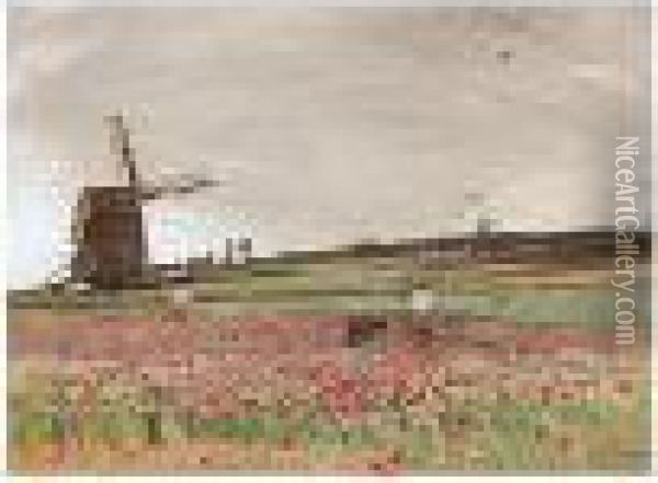 The Poppy Field Oil Painting - David Murray