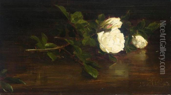 A Still Life Of Christmas Roses Oil Painting - George, Sir Reid