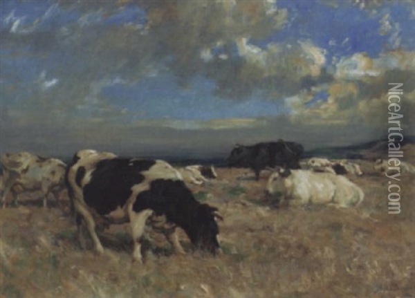 Cattle In The Highlands Oil Painting - Andrew Douglas